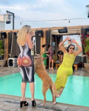 Hannah Stocking Instagram - The ONE time I go out 😩🐕 @hannahstocking @lelepons @thehighlightroom