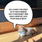 Hasse Hope Instagram - Valpen min har blitt storyteller! Håper dere vil gi ham den respekten og oppmerksomheten han fortjener 🙂