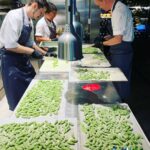 Henri Alén Instagram - Gnocchi❤️ Mikä on parempi paikka turista päivän polttavat puheenaiheet kun gnocchien äärellä. Paljon käsityötä jokaista pientä palleroa kohtaan, mutta sen tuntee sitten suussa. Pehmeä, kuohkea ja tuore gnocchi on parasta. Ja tietysti puikula perunasta. @restaurantfiasco , etelärannan pikku Italia❤️ #teamwork #gnocchi #fiasco? #pasta #bene #Helsinki #weloveitaly #handmade