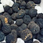 Henri Alén Instagram - Tarrrrtufo! Kukaan teistä ei arvaa mitä ens viikolla tulee @restaurantfiasco menulle? Vinkki: Sitä on mustaa ja valkoista, asuu maan uumenissa. Sitä syödessä ei voi murehtia. Se naurattaa. #vihdoin #season #syksyalkaa #tubermelanosporum #tuberaestivum #tubermagnatumpico