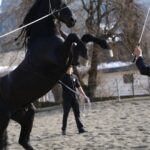 Henry Cavill Instagram - Reunited with my equine friend Hector today, and my human friend Laszlo! After a good ride out through the mountains, Hector showed off some of his new rearing skills. He's showing some promise. #Hector @laca_juhasz_