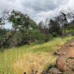 Hugh Jackman Instagram - Stay on the trail.