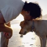 Ian Somerhalder Instagram - Been moving at lightning speed while traveling the world and stepping foot on multiple continents every week. There hasn’t been even a single second to stop and watch the sunset. Sometimes just stopping amidst the hustle of life and running a business, to appreciate the beauty around you, gives you the energy to keep pushing forward. Right?