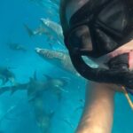 Inna Puhajkova Instagram - SOUTĚŽ ☀️🐳 Napiš svou nejbláznivější představu o super létu pod soutěžní příspěvek @mentos_czsk a vyhraj 10 000Kč na svoje zážitky nebo třeba foťák Instax😍 Jednodušší už to být snad ani nemůže, tak neváhej a zapoj se do soutěže, odkaz najdeš u mě v biu☝️ 8 nejlepších představ vybere Mentos a předělá je pomocí AI. O hlavním vítězi pak rozhodnou fanoušci. Hodně šestí a super léto🫶 #soutez #mentos #mentosvitamins #yestofresh #freshleto #zazitky #zapojseavyhraj