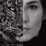 Irene Aldana Instagram - 🐆🖤 #blaclandwhite #jaguar #roar #mexicanjaguar #mma #ufc #mexico #irenealdana #teamirene