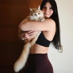 Irene Aldana Instagram - Les presento al Mashemosho .. El Sol de México... Orus 🌞😻 Orus es adoptado… lo encontré muy bebé , estaba solo en la calle y en pésimas condiciones. Ahora es un gatazo … 😎 #Adopta #adoptagatos #mibebe #orus #cat #motherofcats #ufc #mma #irenealdana #mexico #irenealdanaonlycats #teamirene