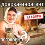 Irina Shikhman Instagram - Знали ли вы, что иноагента в России теперь дают даже дояркам! Чем простая селянка Елена Агафонова не угодила стране? На чье правительство работает? И почему ее боится вся Тульская область? Мы съездили в поселок Партизан, Узловского района и провели с Леной несколько дней. Короче, что я хочу сказать: есть еще женщины в русских селеньях! ☺️ НАСТОЯЩИЙ МАТЕРИАЛ (ИНФОРМАЦИЯ) ПРОИЗВЕДЕН И (ИЛИ) РАСПРОСТРАНЕН ИНОСТРАННЫМ АГЕНТОМ РФ ИРИНОЙ ЮРЬЕВНОЙ ШИХМАН ЛИБО КАСАЕТСЯ ДЕЯТЕЛЬНОСТИ ИНОСТРАННОГО АГЕНТА РФ ИРИНЫ ЮРЬЕВНЫ ШИХМАН