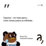 Irina Shikhman Instagram - Наша новогодняя история о том, как плюшевые медведи завоевали сердца взрослых мальчиков и девочек по всему миру по ссылке в сториз. Там же парад других новогодних историй, чтобы было легче пережить эти хмурые дни. НАСТОЯЩИЙ МАТЕРИАЛ (ИНФОРМАЦИЯ) ПРОИЗВЕДЕН И (ИЛИ) РАСПРОСТРАНЕН ИНОСТРАННЫМ АГЕНТОМ РФ ИРИНОЙ ЮРЬЕВНОЙ ШИХМАН ЛИБО КАСАЕТСЯ ДЕЯТЕЛЬНОСТИ ИНОСТРАННОГО АГЕНТА РФ ИРИНЫ ЮРЬЕВНЫ ШИХМАН