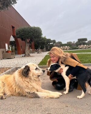 Isabel Angelino Instagram - Fiz novos amigos na @sharish_gin 🐶🐶 #ilovedogs #dogslover