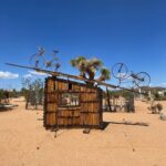 Jade Ramsey Instagram – 🤠🌵🏜 Joshua Tree Desert