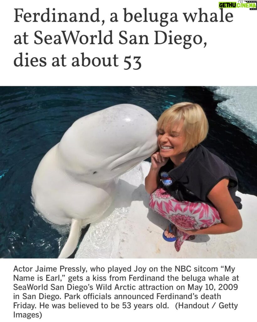 Jaime Pressly Instagram - The day this picture was taken was the day I took my oldest son, Dezi, to Seaworld in San Diego. Dez was only 2.5 and it was Mother’s Day. It was an amazing experience for us but this particular moment was the one that meant the most to us. #rip Ferdinand. Thank you for your sweet and gentle nature my friend. Swim easy up there.🙏😘❤ #rip #ferdinand #seaworld #ocean #love #heaven #kisses