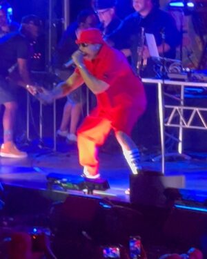 Janice Faison Instagram - Rock the Bells Festival
