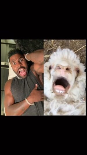 Jason Derulo Instagram - Ahhh 🐐 @buddeogame