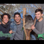 Jeff Ward Instagram - Honest to god one of the happiest moments of my entire life.