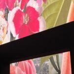 Jennie Kim Instagram - In the gardens of the villa Noailles 🌺 Bravo @virginieviard. Merci @chanelofficial for having me once again 🌺🌺🌺