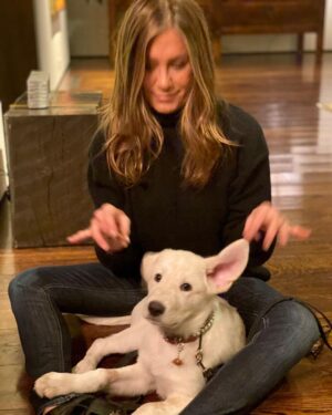 Jennifer Aniston Instagram - We’re grateful 🙏🏼❤️