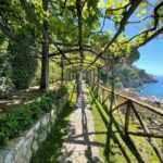 Jennifer Finnigan Instagram - Garden of Eden? Nope just another Saturday in sunny Positano 😍💙 #heaven #positano #amalficoast #happiness 📸: @emilywhelan Villa Treville Positano