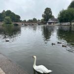 Jennifer Finnigan Instagram – GEEKING OUT in #stratforduponavon , birthplace of Shakespeare…..could have spent 3 days here, steeped in all things Willie Shakes. First pic is the house he was born in (and the room he was born in)….then onto his schoolhouse where he was schooled until age 14 (oh and that’s Jonny in an authentic school master costume 🤦🏼‍♀️)…Shakespeare’s grave….and a Swan on the Avon ❤️❤️❤️ #shakespeare #uk #england Stratford-Upon-Avon, Shakespear’s Birthplace. England. Uk