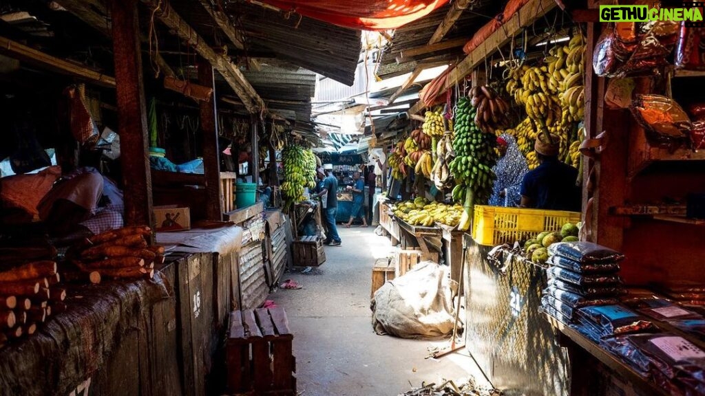 Jerrika Hinton Instagram - Dear Diary, Remember the dried octopus? Khariallah and the five hour food tour? The guavas, mangoes and breadfruit? Demon steps? And the sunsets over the Indian Ocean? Asante. • Stonetown, Zanzibar Tanzania