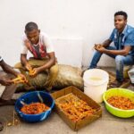 Jerrika Hinton Instagram – Dear Diary,
Remember the dried octopus? Khariallah and the five hour food tour? The guavas, mangoes and breadfruit? Demon steps? And the sunsets over the Indian Ocean? Asante.
•
Stonetown, Zanzibar Tanzania