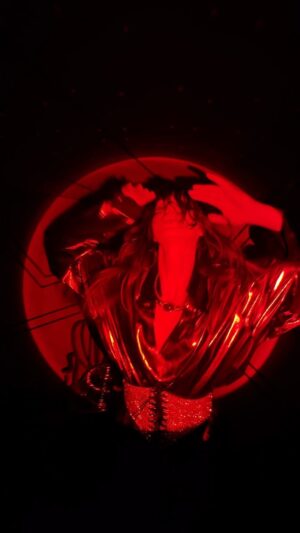 Jessica Cook Instagram - ⚠️ Warning: Strobe usage in this video 

D.A.N.K.
“The Bear Was Here.”
Directed by: @raquelhoque 
DP: @go_for_neens 
Performance: @jessicamcook
Music: @mymorningjacket 
@dankmagazinecollective