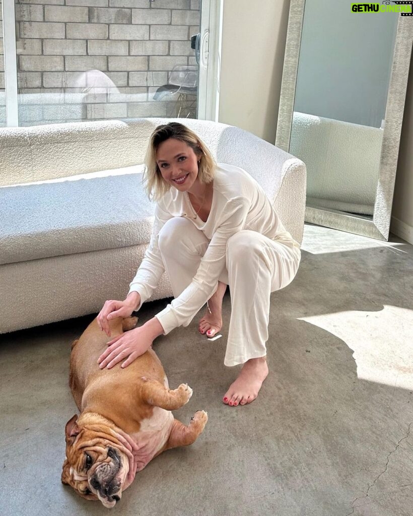 Jessica Cook Instagram - Embracing cozy vibes, and of course, Peaches had to crash the party! 🌟@cozyearth #SleepCozyEarth Get 40% OFF with discount code: JESSICAC40 https://glnk.io/182l/jessicamcook Los Angeles, California