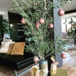 Jessica Schwarz Instagram - Allen einen schönen Nikolausitag, bei mir mit Olivenweihnachtsbaum ☺️ #mussnichtimmertannesein#überraschunvommann#danke❤️