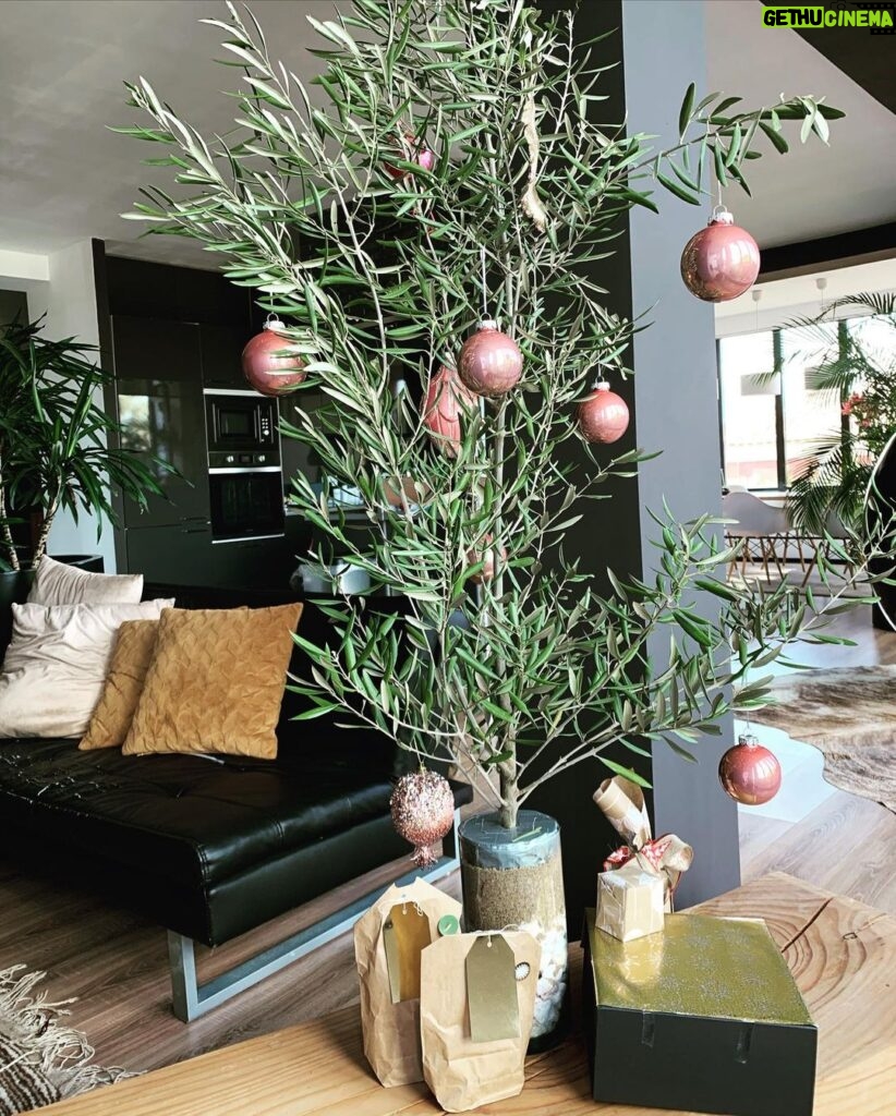 Jessica Schwarz Instagram - Allen einen schönen Nikolausitag, bei mir mit Olivenweihnachtsbaum ☺ #mussnichtimmertannesein#überraschunvommann#danke❤