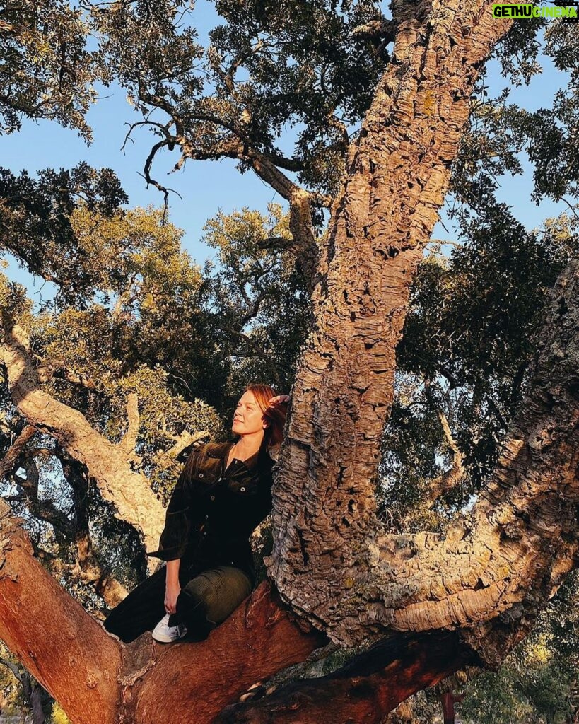 Jessica Schwarz Instagram - Spontanes Shooting mit der wunderbaren @zaucke in Portugal #wirkletternvielzuseltenaufbäume#abendsonnegeniessen☀#wiekommichnochmalrunter🙃 Setúbal