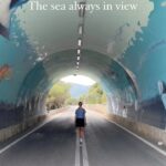 Jessica Schwarz Instagram – #portugal#arrabida#setubal#closedroad#seaview#sardinas Portugal