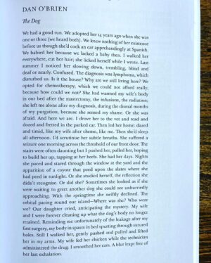 Jessica St. Clair Instagram - My love @bydanobrien wrote this poem after we said goodbye to our noble schnauzer Emma "Good Girl" O'Brien.