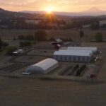 Jim Belushi Instagram - The sunset over @jim_belushi‘s farm in the beautiful state of Oregon 🌞 Not seen - the massive amounts of cannabis growing inside the farm 👀 🍃 Don’t miss the season premiere of #GrowingBelushi tonight at 9p ET.