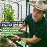Jim Belushi Instagram - 🌱 Discovery's hit series "Growing Belushi" returns for a third season, taking viewers on another wild ride with @jim_belushi as he builds his cnnbs empire in Oregon. 🚨 The new season is set to premiere on Wednesday, April 5 at 9PM ET/PT. The show follows Jim and his team of farmers as they strive to turn Belushi's Farm (@belushisfarm) into a national cnnbs brand, with an ultimate goal of global expansion. However, Jim's own missteps could put the success of his business at risk. 🍃 Belushi's Farm suffers a suspicious fire, resulting in $500,000 worth of cnnbs, the farm's barn and its drying facility going up in smoke. As the cause of the fire remains uncertain, the authorities investigate while Jim and his team race to find a place to dry and cure their next harvest. With another $500,000 of cnnbs on the line, the future of Belushi's Farm hangs in the balance. 💨 To celebrate 4/20, an annual celebration of cnnbs, Discovery will air a "Growing Belushi" marathon featuring all episodes of the series to date beginning Thursday, April 20 at 7AM ET/PT. Read more at benzinga.com