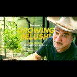 Jim Belushi Instagram - The new season premieres April 5 at 9 p.m. ET/PT on @discovery channel!!!