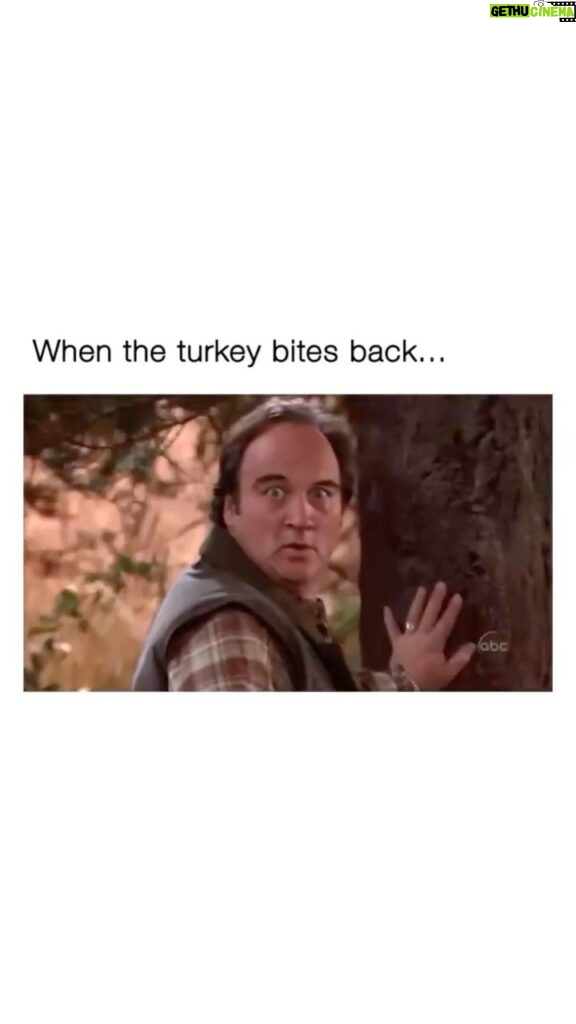 Jim Belushi Instagram - Angry Pete wishing you and yours! Happy Thanksgiving! 🦃🍁