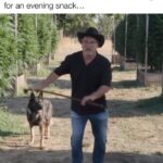 Jim Belushi Instagram - A little to accurate… 🤨