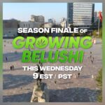 Jim Belushi Instagram - TONIGHT on @discovery channel - 9 EST/PST !!!