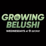Jim Belushi Instagram - 👀…. New Episode of Growing Belushi on Wednesday, 9 ET/PT, on @discovery channel!