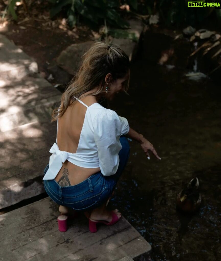 Joana Alvarenga Instagram - A liberdade e a fé, é a ave que sente a luz e canta quando a madrugada ainda está escura! By Tagore . #nature #freedom #peace #bird