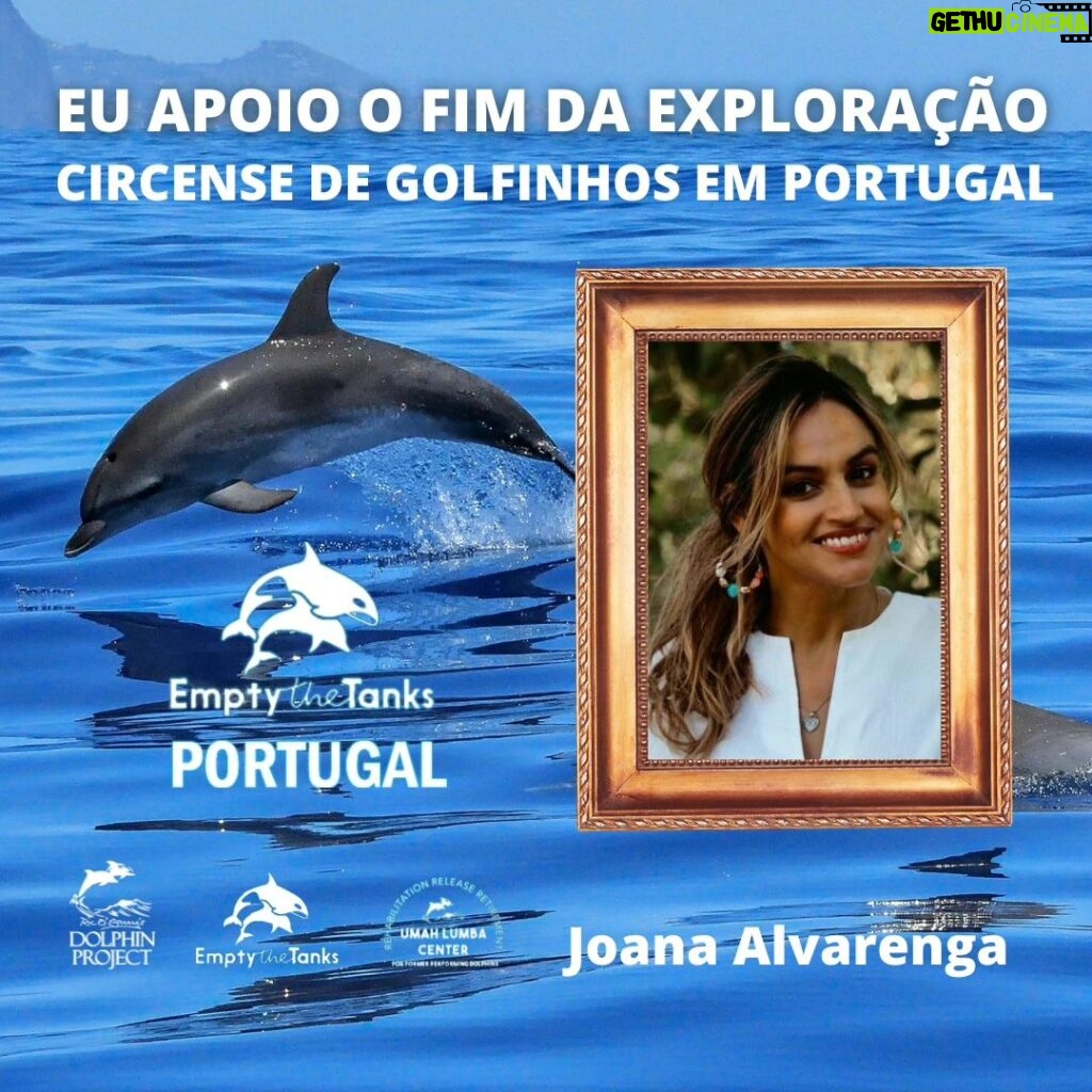 Joana Alvarenga Instagram - @joanaalvarengaoficial também apoia o fim da exploração circense de golfinhos em Portugal. E é a favor da reabilitação de golfinhos em Santuário na natureza onde podem finalmente sentir os ritmos das marés e das ondas, sem palmas, sem música, sem habilidades circenses aprendidas e treinadas diariamente com base na fome para entreter turistas mal informados e sem paredes de cimento pintadas de azul num ambiente estéril e sem qualquer estímulo natural da biodiversidade marinha de baixo de água. A forma como tratamos o ser mais inteligente dos Oceanos e com um cérebro de grandes dimensões e mais complexo do que o do ser humano revela muito sobre nós como indivíduos e como nação. Está na hora de devolver a dignidade aos 35 golfinhos vítimas de exploração circense em Portugal. A reabilitação em Santuário na natureza é uma realidade testada onde vão continuar a ter os mesmos cuidados médico veterinários de sempre com os mesmos tratadores de sempre mas sem circo, com apenas comportamentos naturais típicos da espécie na natureza onde evoluíram durante milhões de anos. #DolphinProject #emptythetanksportugal #emptythetanksworldwide #thanksbutnotanks #enddolphinariums #DontBuyATicket #SayNoToTheDolphinShow #dolphinrehabilitation #captivitykills #KeepThemWild #WildAndFree #LetsProtectDolphinsTogether