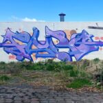 Joel Van Moore Instagram - My crew members from TMD have all continued to bring heat to the update of #3by4project Here is the 3 latest hams from @haser_nz @askewone and @fluro_rock Stay tuned for more coming soon @bombingsci Auckland, New Zealand