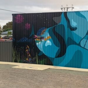 Joel Van Moore Instagram - I had an absolute blast painting my dear friend @jelenanelej for @colourtumbystreetart a week ago and miss all the local crew and artists a lot.

Thanks to @juddyroller for the invite.

The moody pics are from Harry the gun photographer @lightbulbphotography 

#vanstheomega #freehand