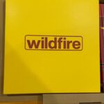 Joel Van Moore Instagram - Don’t sleep on the latest offering “Wildfire” about the history of Adelaide graffiti. A lot of the pieces in this book are the very reason that my obsession with graff started around the age of 5. I’d pass the Style henry wall on the bus along south road and then catch the tram from South road tram stop. There was a WOW and Funky Fresh that really captured my attention. As soon as I got to my grandmas house in Glandore I’d re create the pieces I saw on paper and the rest is history. I was too young to have a camera and didn’t capture any of my earliest work. It wasn’t until 1990 that I could get hold of my parents square format Kodak camera to get any shots. These were simple and pure times and this book has brought back some incredible sensations and memories from within. Great work to everyone involved. Get you copy via Puzlepress.com @elzup Adelaide, South Australia