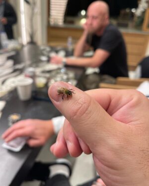 John Dolmayan Instagram - This Bee has been sitting on my thumb for 20 min , then there’s @shavoodadjian who has been card dead for an hour