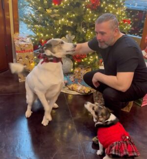 John Dolmayan Instagram - Merry Christmas 🎄 
Love Emma, Maya, Liam 👧👧🧒
Charlie, Lola and Lily 🐶🐶🐶