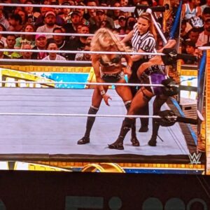 John Iadarola Instagram - First ever Wrestlemania! Amazing experience and some incredible matches