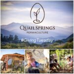 Jon Lajoie Instagram - Hey Friends, on this #GivingTuesday consider donating to @quail_springs , a non-profit who's mission it is to advance ecological and social health by empowering students of all ages and backgrounds with knowledge, skills and inspiration. They're beautiful badasses. Patagonia will match your donations! Link in my bio