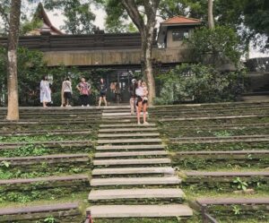 Jordan Haj Instagram - V dávné řeči platformy Facebook, kde spolu kdysi jedinci druhu sapiens na krátký okamžik historie přebývali, by byl označen vztah našich dvou opic se svými vzdálenými bratranci jako “its complcated”