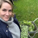 Judith Rakers Instagram - Was habt ihr an diesem verregneten Tag (zumindest in Hamburg plörrte es dauerhaft) gemacht? Ich hab das Gewächshaus aufgeräumt. Die Minigurken geerntet und ins Haus geschleppt… Die Ernte war unfassbar dieses Jahr, weil ich die Minigurken-Pflanzen direkt in den Boden gesetzt habe. Ein ganzer Urwald ist aus zwei Pflanzen entstanden (siehe Schubkarre 😄) Letztes Jahr habe ich die Pflanzen in einem kleinen Anzuchttöpfchen gelassen und so haben sich nur wenige lange Triebe entwickelt, die aber auch toll getragen haben. Ich habe die Minigurke deshalb auch in die Bio-Saatgutboxen für den Balkon und die Wohnung gepackt - weil ihr mit der Größe des Pflanzgefässes die Wurzelgrösse und damit das Pflanzenwachstum steuern könnt. Beide Saatgut-Boxen sind schon ausverkauft, aber wenn das als Weihnachtsgeschenk für euch in Frage kommt, bestelle ich nochmal nach vor dem Frühling… Also, ich finde die Gurken sehr niedlich! 😁 #homefarming #machsdirleckerzuhause #minigurke #dasglückderkleinendinge