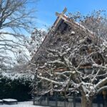 Judith Rakers Instagram - Winter auf der kleinen Farm. Gut, dass alle hier so dick eingeflauscht sind. 🩵❄️☃️🌨️ Und bei euch? #meinekleineFarm #winterwonderland
